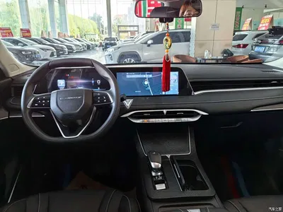 2022 Venucia Big V 260T Dark Horse Edition·Idol, фото 3, лот 11150282