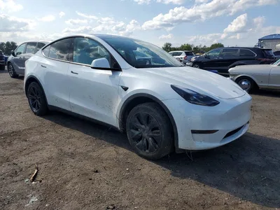 2024 TESLA MODEL Y, фото 4, лот 10854783
