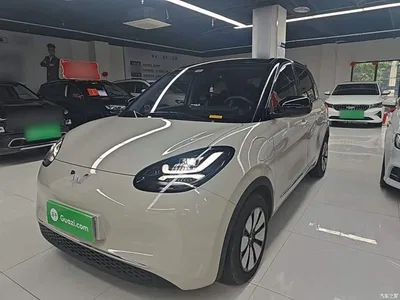 2024 Wuling Motors Wuling Bingo 333km Comfort Edition, фото 1, лот 10372124