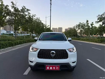2021 Great Wall Pao 2.0T Commercial Edition Automatic Diesel 2WD Elite Long Box GW4D20M, фото 2, лот 10246060