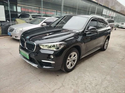 2019 BMW X1 New Energy xDrive25Le Range Upgrade Edition, фото 1, лот 10475358