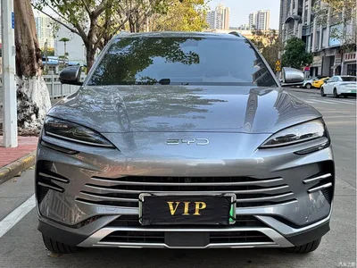 2025 BYD Song PLUS PHEV DM-i 160KM Flagship, фото 2, лот 10273576