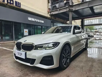 2021 BMW 3 Series 320Li M Sport Package, фото 1, лот 11007409