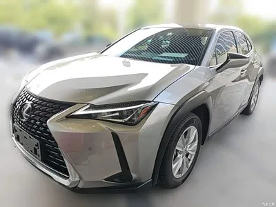 2020 Lexus UX 260h Explore Cool Edition, фото 3, лот 10319467