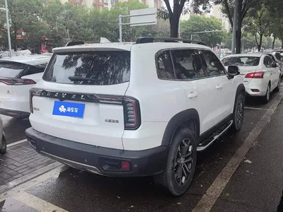 2021 Haval Big Dog 1.5T DCT 2WD Border Collie Edition, фото 3, лот 10615496
