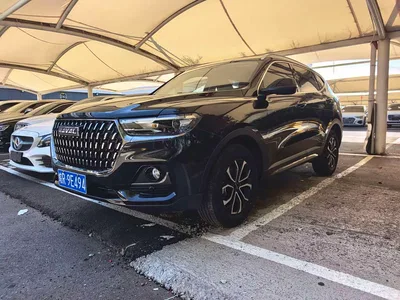 2021 Haval H6 National Trend Edition 1.5T Automatic Urban Edition, фото 1, лот 10283236
