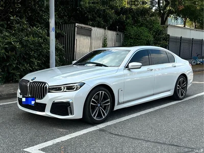 2019 BMW 7 Series 730Li M Sport Package, фото 1, лот 10442655