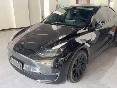 2021 Tesla Model Y Standard Range Rear-Wheel Drive, фото 1, лот 11178871