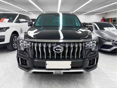 2020 GAC Trumpchi Trumpchi GS8 GS8S 390T 2WD Luxury Smart Connect Edition, фото 2, лот 11212360