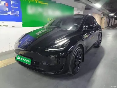 2022 Tesla Model Y Rear-Wheel Drive Version, фото 1, лот 10605063