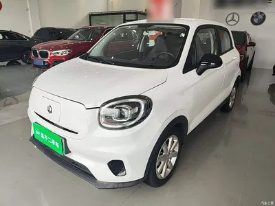 2022 Leapmotor T03 Agate Edition, фото 2, лот 10442000