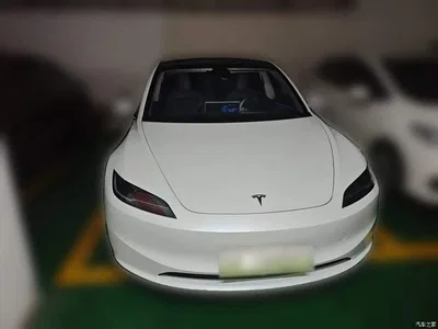 2025 Tesla Model 3 Model Rear-Wheel Drive Edition, фото 2, лот 10441044