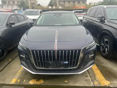 2024 Hongqi H5 2.0T Automatic Smart Connect Flag Leader Edition, фото 2, лот 11139550