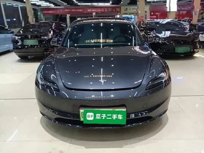 2025 Tesla Model 3 Model Rear-Wheel Drive Edition, фото 3, лот 10769461