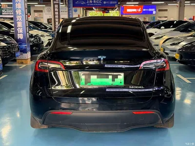 2023 Tesla Model Y Rear-Wheel Drive Edition, фото 3, лот 11140740