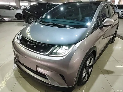 2021 BYD Dolphin 401km Knight Edition, фото 2, лот 10259596