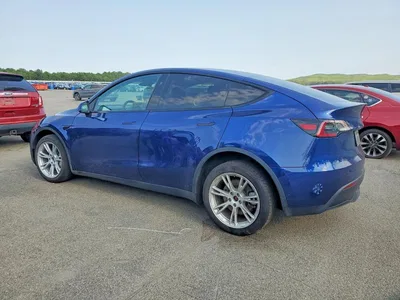 2023 TESLA MODEL Y, фото 2, лот 10853625