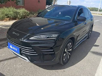 2023 BYD Song PLUS PHEV Champion Edition DM-i 110KM Flagship, фото 1, лот 11203258