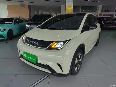 2024 BYD Dolphin Glory Edition 420km Fashion Edition, фото 2, лот 10264041