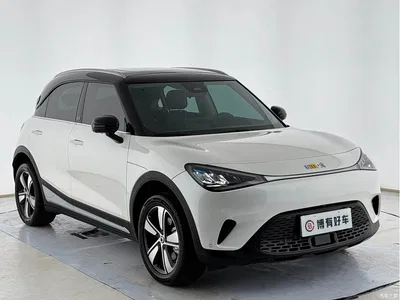 2024 smart Elf #1 Agile Standard Edition, фото 4, лот 10593816