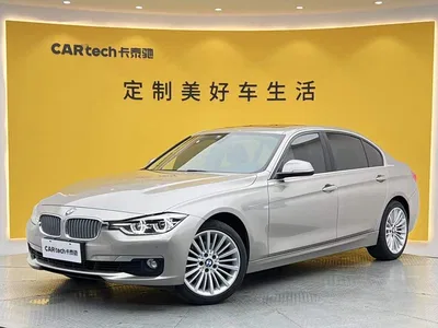 2018 BMW 3 Series 320Li xDrive Fashion Style, фото 1, лот 11074217