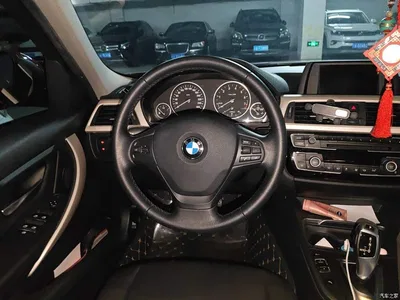 2016 BMW 3 Series 320Li Progressive, фото 3, лот 11073933
