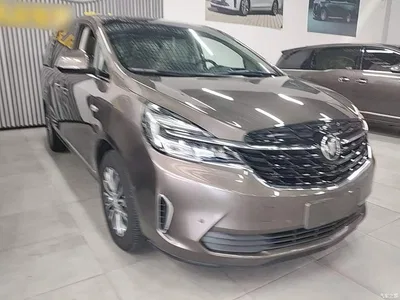 2021 Buick GL8 Land Business Class 652T Smart Premium, фото 4, лот 10440968