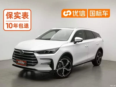 2021 BYD Tang New Energy DM-i 112KM Premium, фото 1, лот 10399564