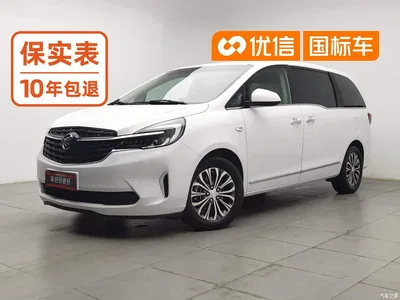 2022 Buick GL8, фото 1, лот 10242343