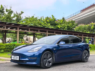 2020 Tesla Model 3 Facelift Long Range Rear-Wheel Drive, фото 1, лот 10632916