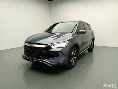 2024 BYD Song Pro New Energy Glory Edition DM-i 71KM Pilot, фото 3, лот 10632615