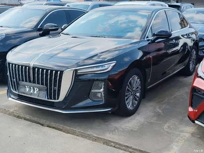2023 Hongqi H5 2.0T Auto Smart Connect Flag Comfort, фото 2, лот 10285447