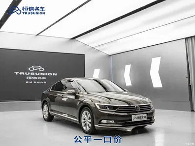 2017 Volkswagen Magotan 330TSI DSG Luxury, фото 1, лот 10435846