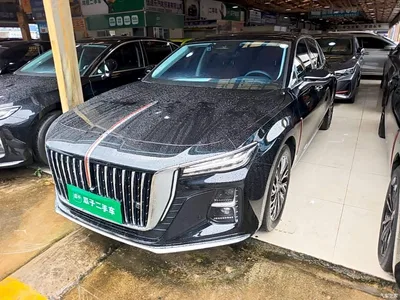 2025 Hongqi H5 2.0T Automatic Flag Celebration 500,000 Units Anniversary Edition, фото 2, лот 10605753