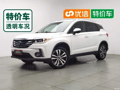 2017 GAC Trumpchi Trumpchi GS4 235T Automatic 2WD Luxury Smart Connected Edition, фото 1, лот 10419955