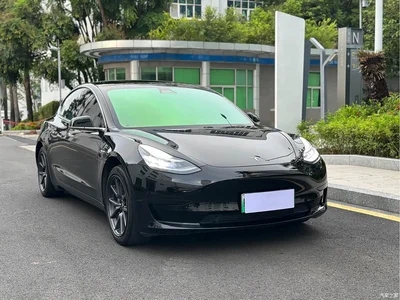 2020 Tesla Model 3 Standard Range Rear-Wheel Drive Upgrade, фото 3, лот 10444624