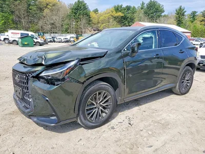 2024 LEXUS NX 350 PREMIUM, фото 1, лот 10607396