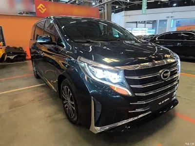2021 GAC Trumpchi Trumpchi M8 Leading Show Series 390T Ultimate Edition, фото 4, лот 10424597