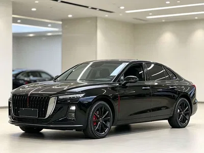 2025 Hongqi H5 1.5T DCT Mystic Shadow, фото 1, лот 11089607