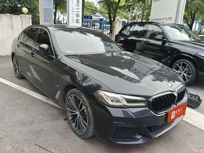 2021 BMW 5 Series 530Li Leading M Sport Package, фото 2, лот 11221246