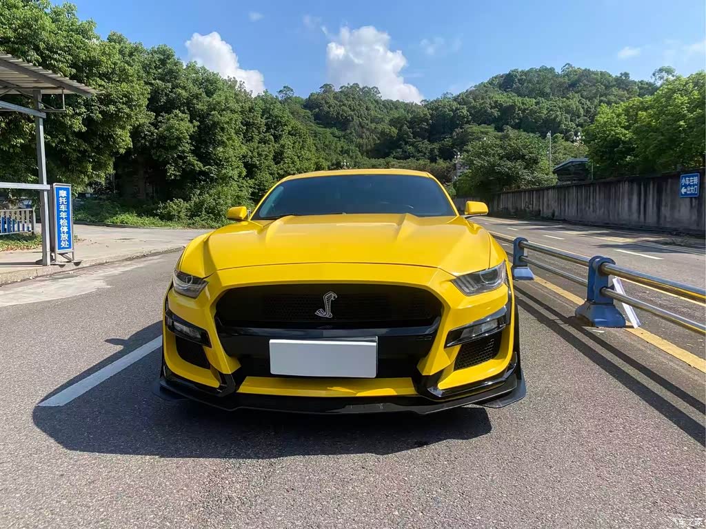 2016 Ford Mustang 2.3T Performance Edition, фото 2, лот 11212918
