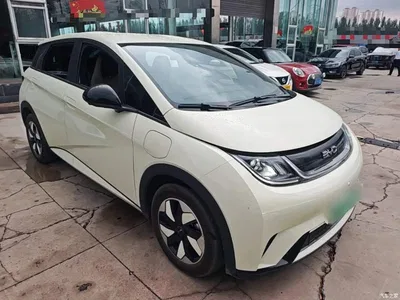 2025 BYD Dolphin 420km Freedom Edition, фото 4, лот 10263956