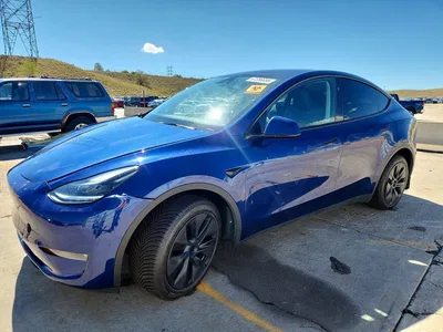 2025 TESLA MODEL Y, фото 1, лот 10855989