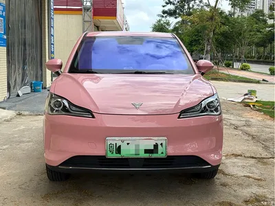 2022 Nezha Auto Nezha V Trend 400 Lite Pink Custom Edition, фото 2, лот 10823748