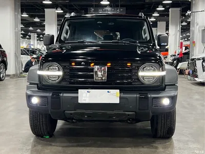 2021 Tank 300 Off-road Version 2.0T Conqueror, фото 1, лот 10345043