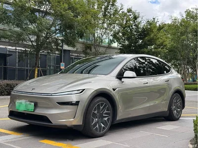 2025 Tesla Model Y L, фото 1, лот 10453539