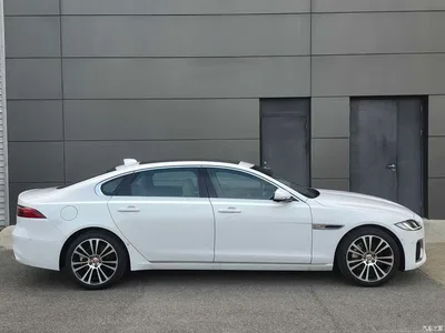 2024 Jaguar XFL 2.0T P250 2WD Premium Luxury, фото 4, лот 10360474