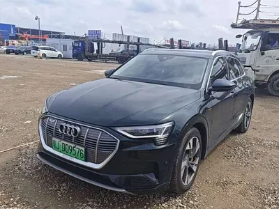 2019 Audi e-tron (Import) 55 quattro Technology, фото 1, лот 11459645