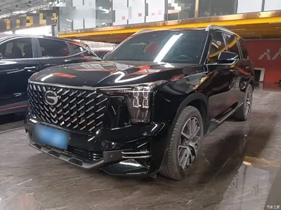 2024 GAC Trumpchi Trumpchi GS8 Navigator Series 2.0TGDI 2WD Luxury Smart Connect Edition, фото 1, лот 10804097
