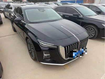 2023 Hongqi H5 2.0T Auto Smart Connect Flag Comfort, фото 3, лот 10396878